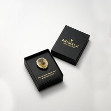 画像をギャラリービューアに読み込む, ANIMALE アニマーレ(lion)