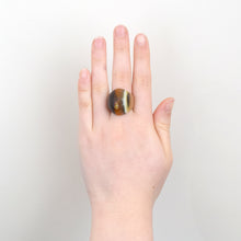 画像をギャラリービューアに読み込む, Big Ring＜オーバル＞（GEM83）
